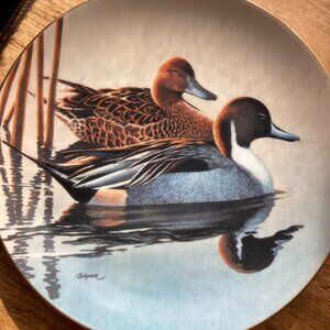 WS George Federal Duck Stamp Collector Plate Pintails Phil Scholer
